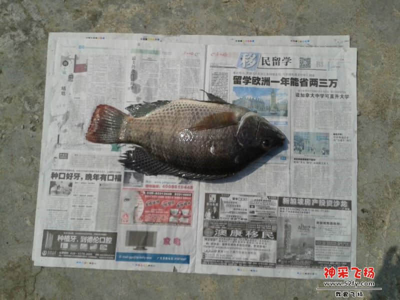 QQ图片20140929124354.jpg