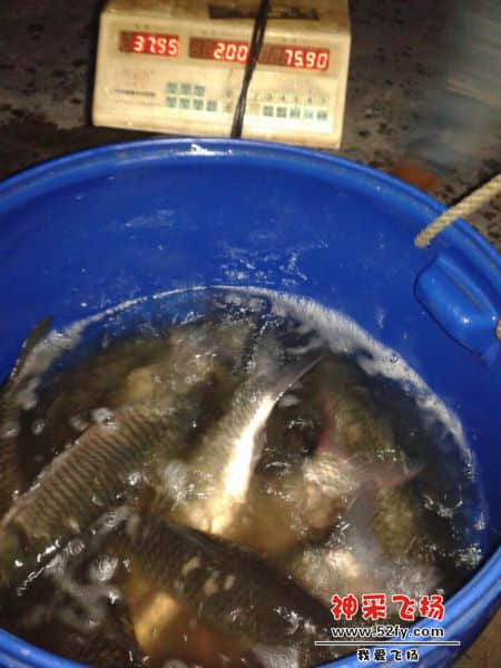 QQ图片20140924072114.jpg