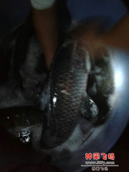 QQ图片20140925212039.jpg