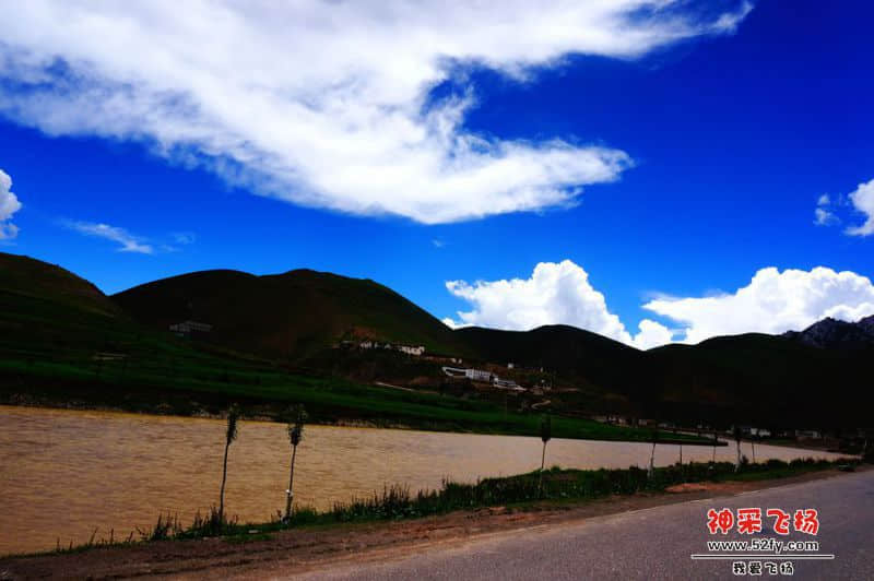 DSC02369_副本.jpg