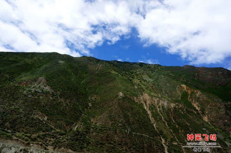 DSC02145_副本.jpg