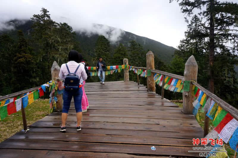 DSC02163_副本.jpg