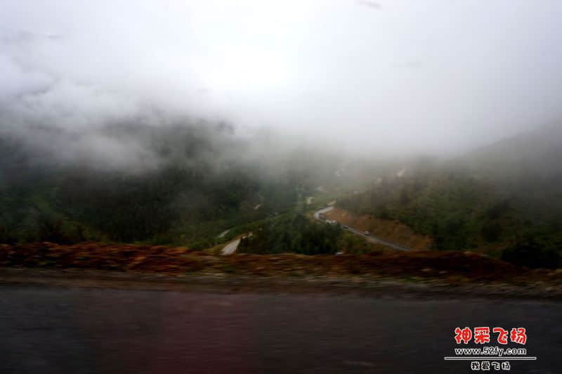 DSC02167_副本.jpg