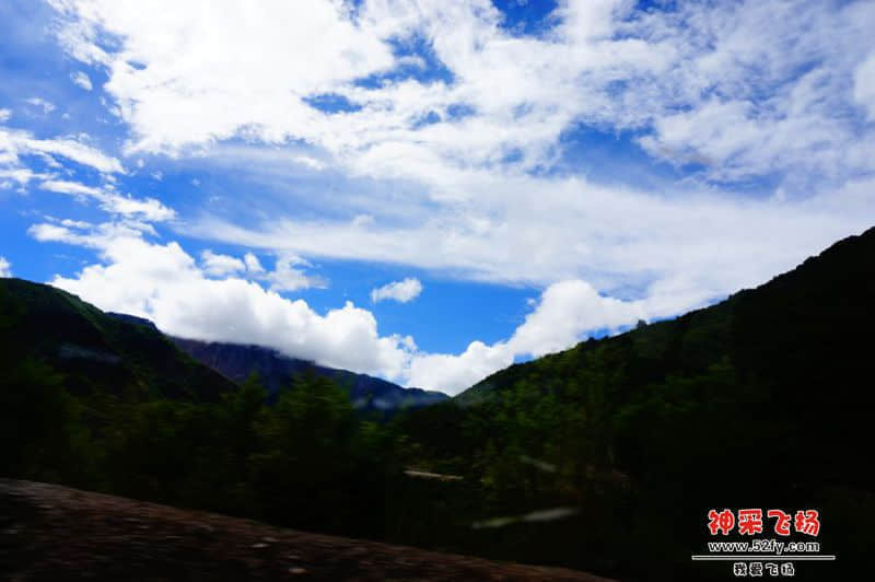 DSC02186_副本.jpg