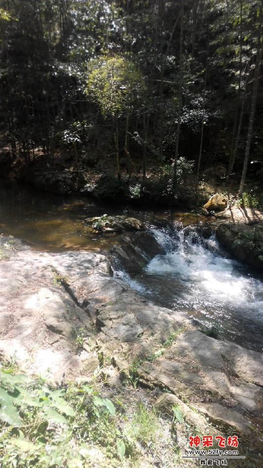 IMG_20141006_115924.jpg