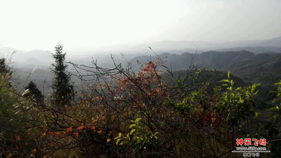 IMG_20141012_163824.jpg