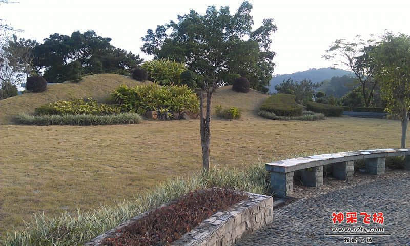IMAG0323.jpg
