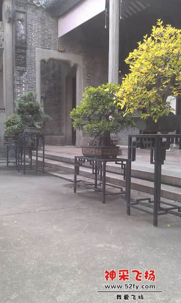 IMAG0749.jpg