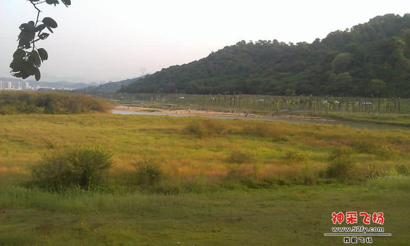 IMAG2976.jpg