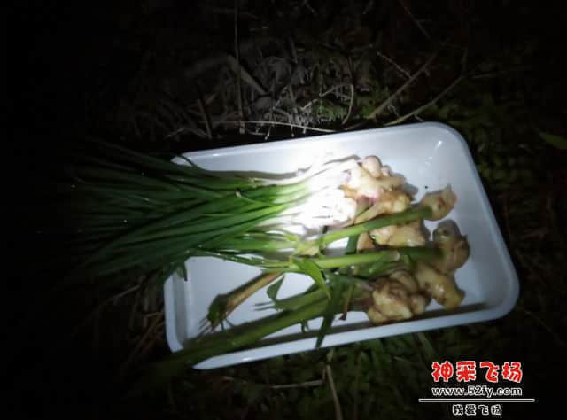 调整大小 IMG_20141020_225249_HHT.jpg