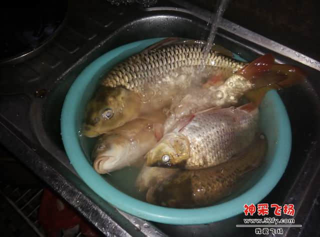 调整大小 IMG_20141021_173210.jpg
