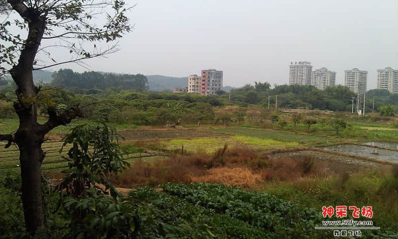 IMAG3078.jpg
