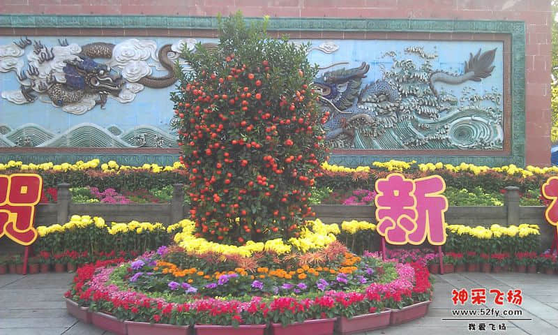IMAG1322.jpg