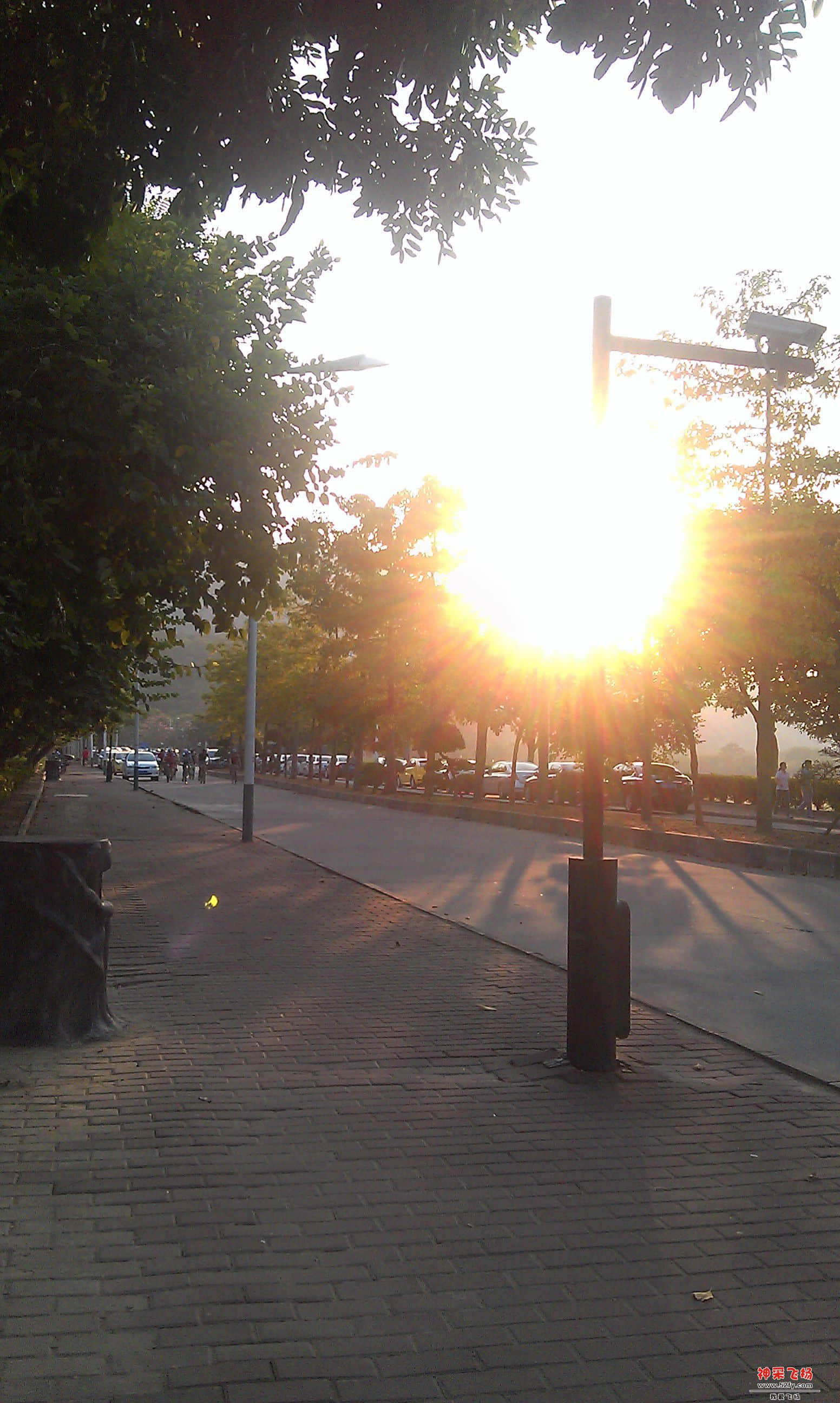 IMAG2977.jpg