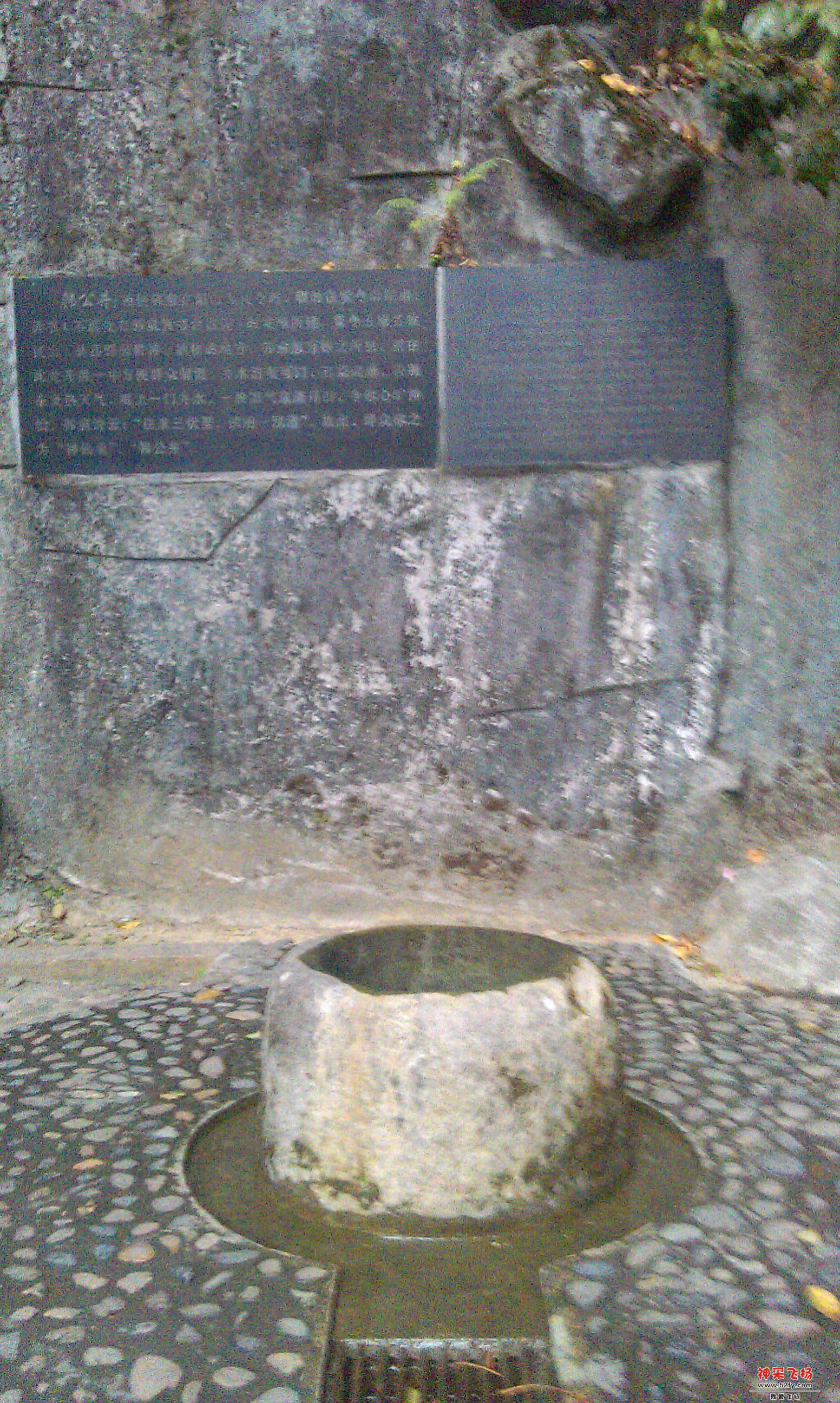 IMAG3283.jpg