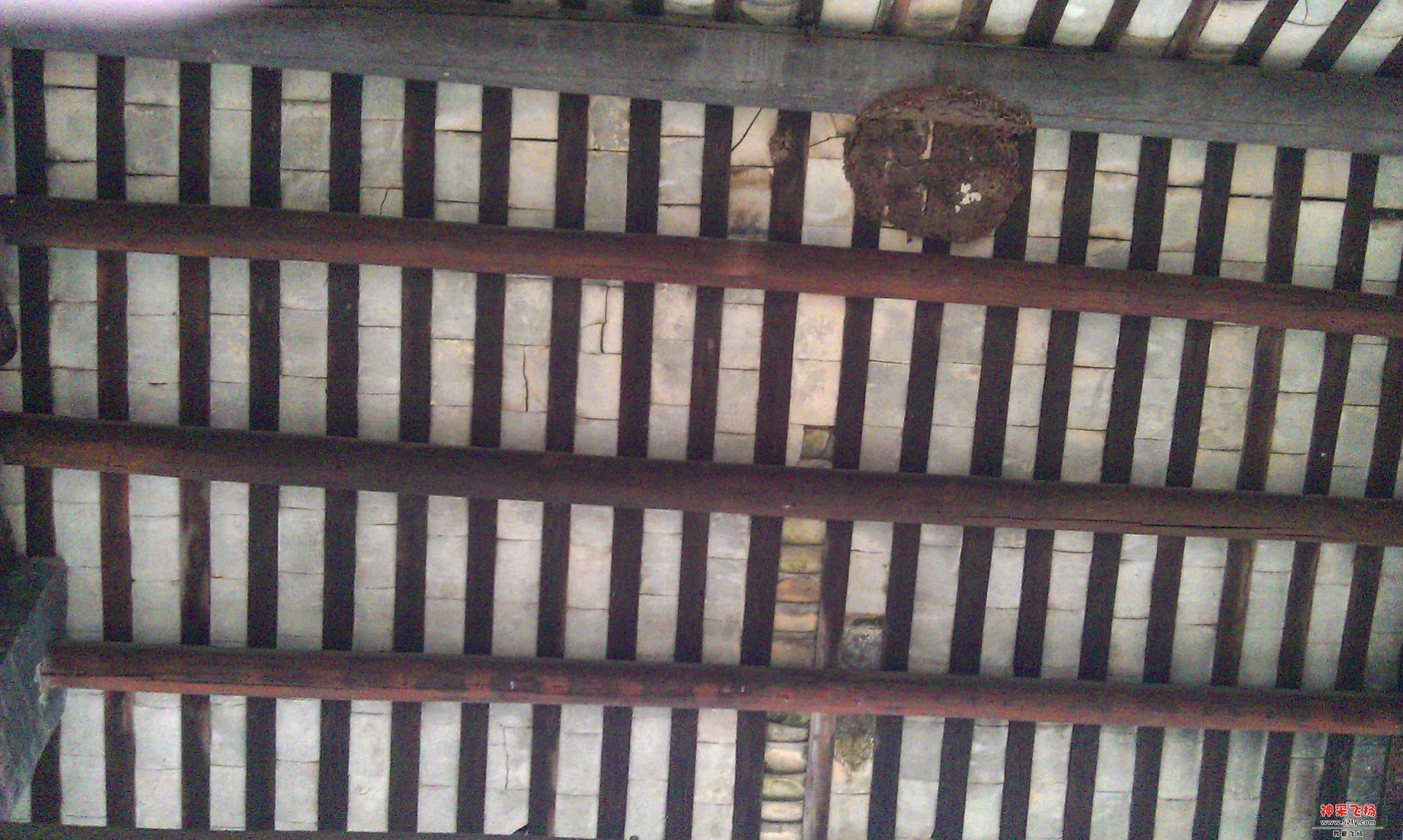 IMAG3345.jpg