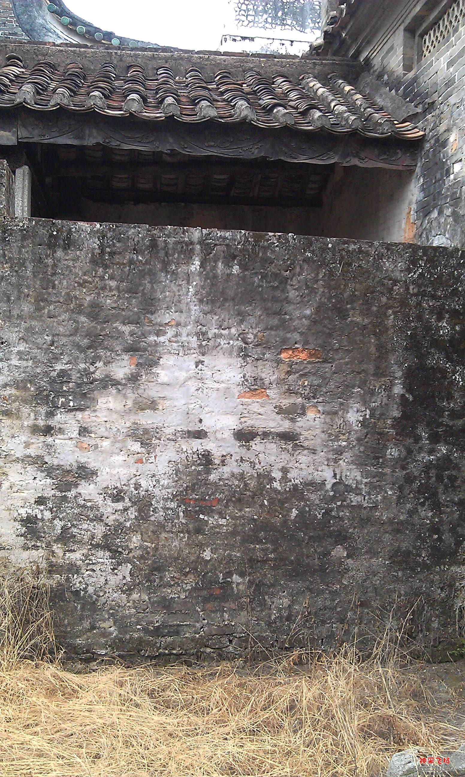 IMAG3352.jpg