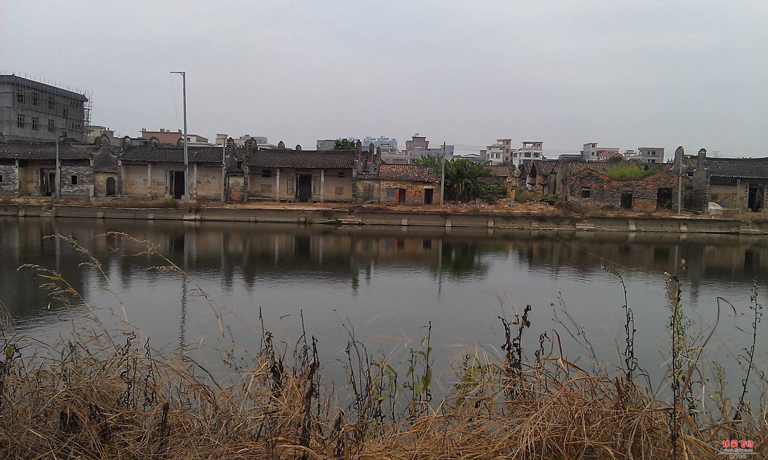 IMAG3369.jpg