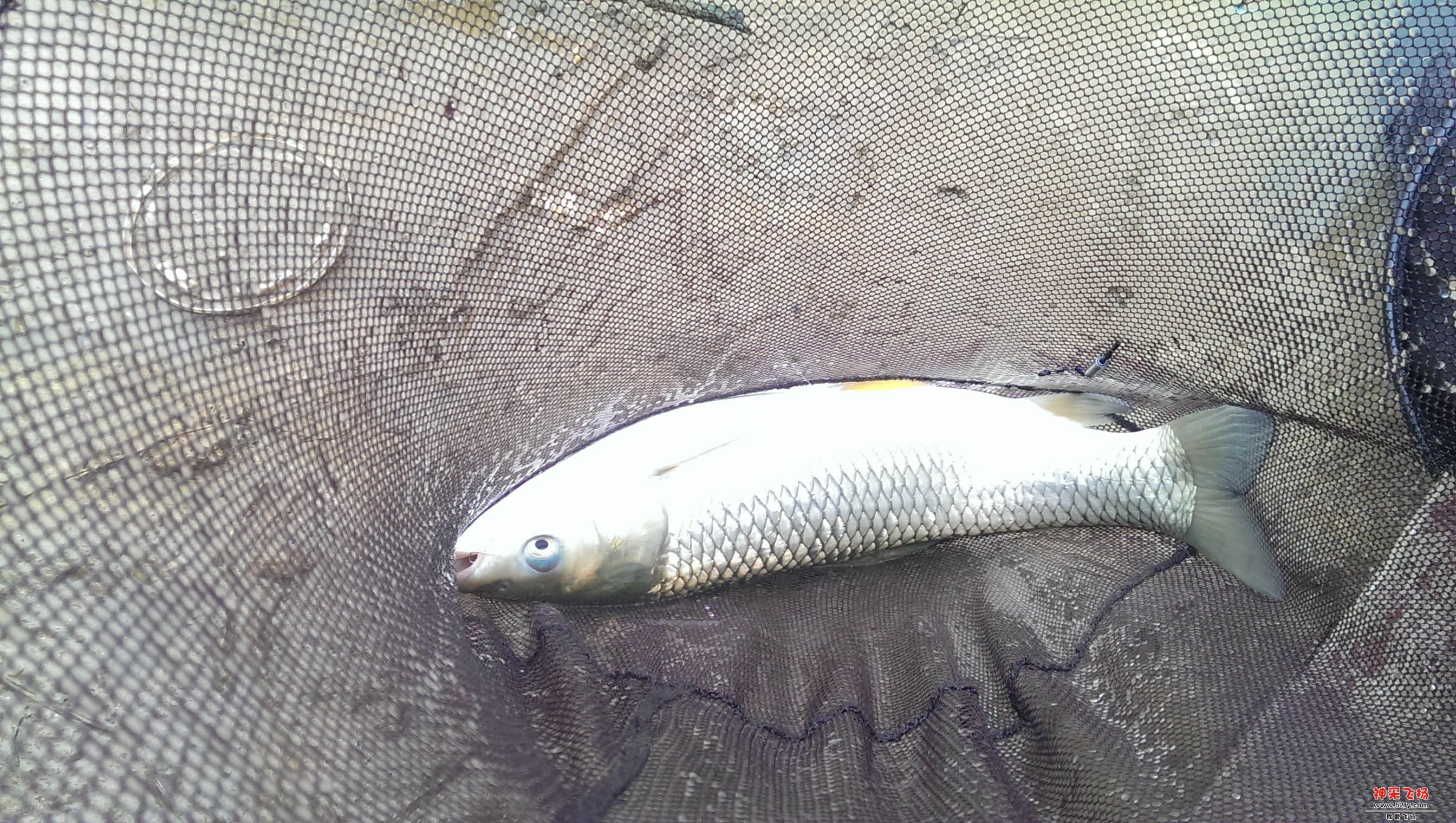 IMAG0383.jpg