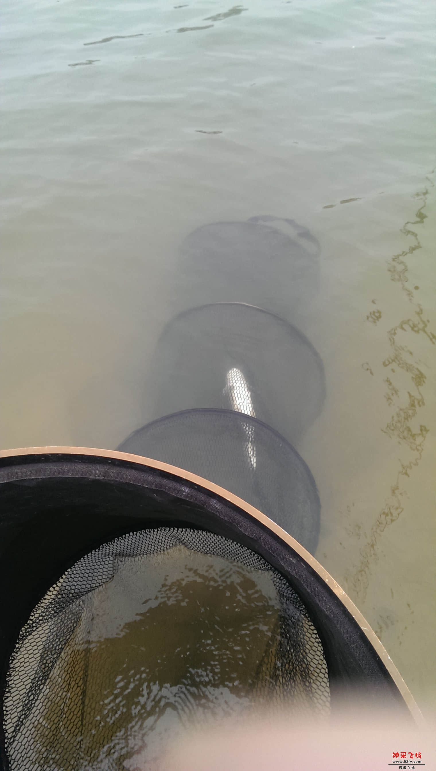 IMAG0372.jpg