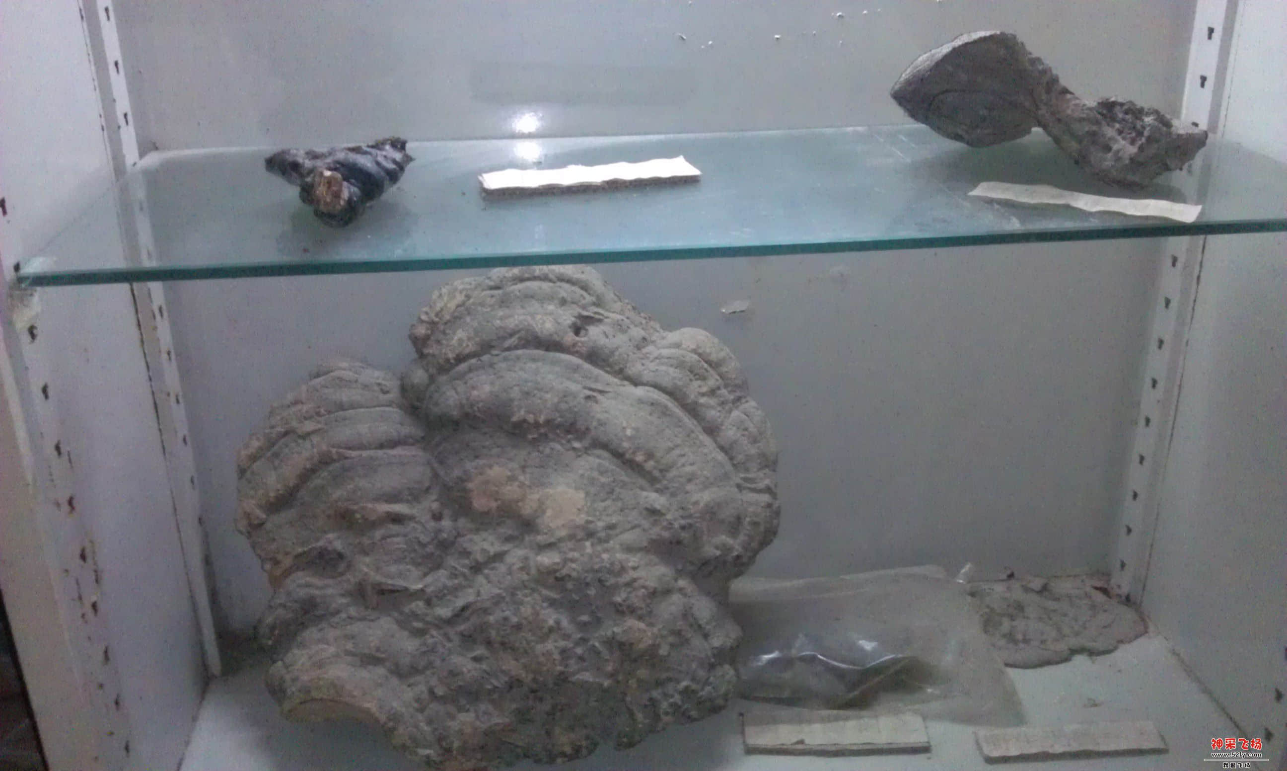 IMAG0020.jpg