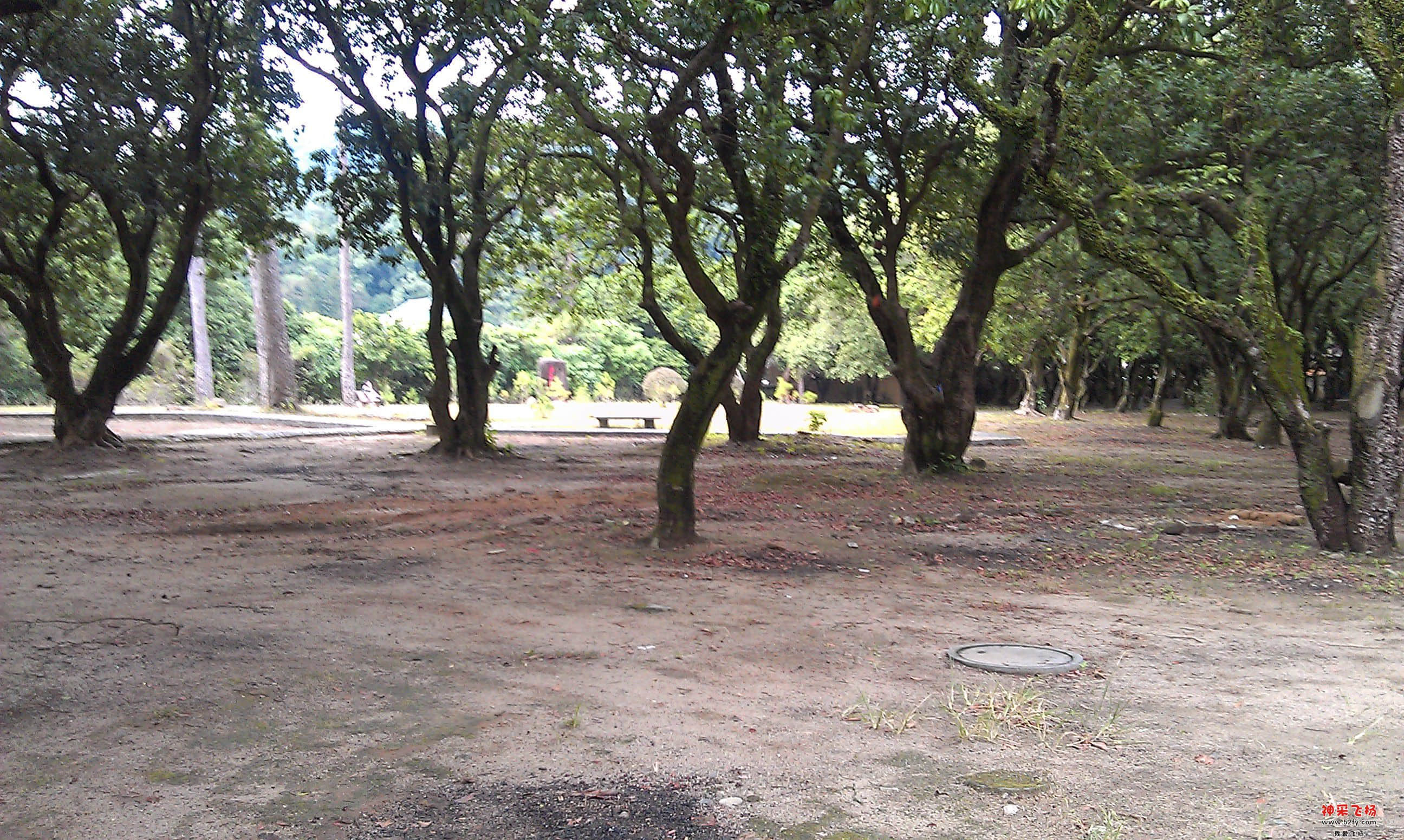 IMAG0030.jpg