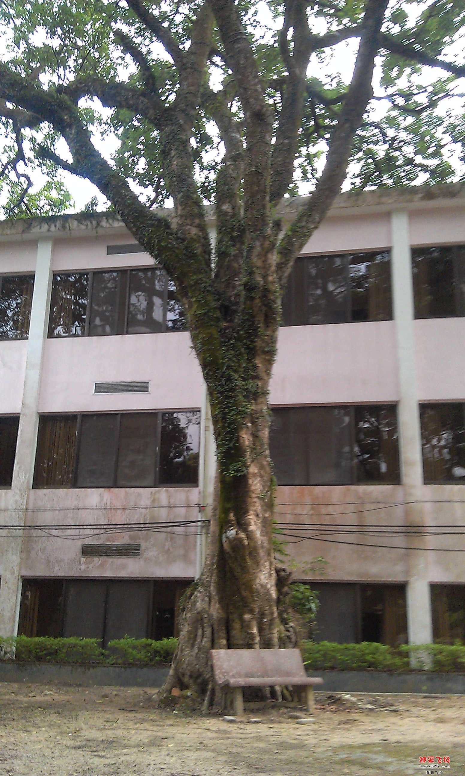 IMAG0031.jpg