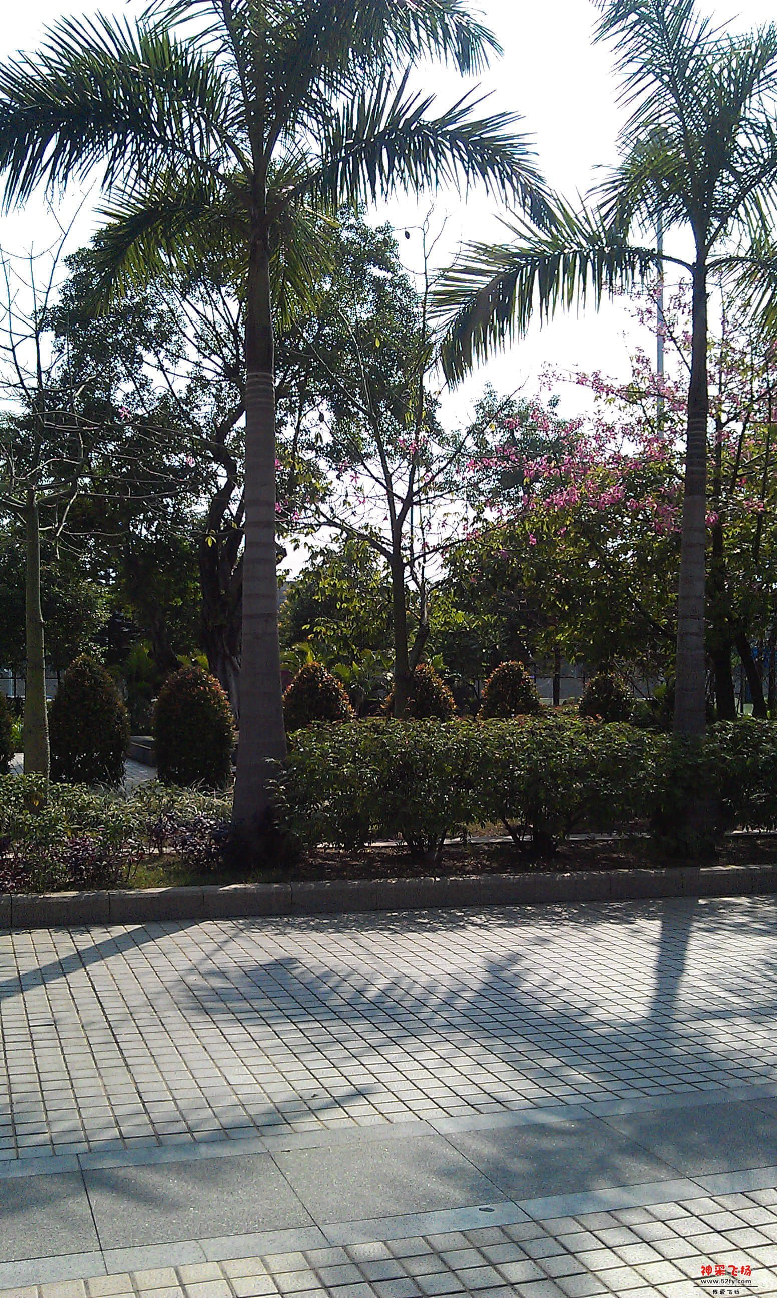 IMAG0010.jpg