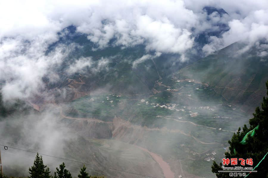 DSC02224_副本.jpg