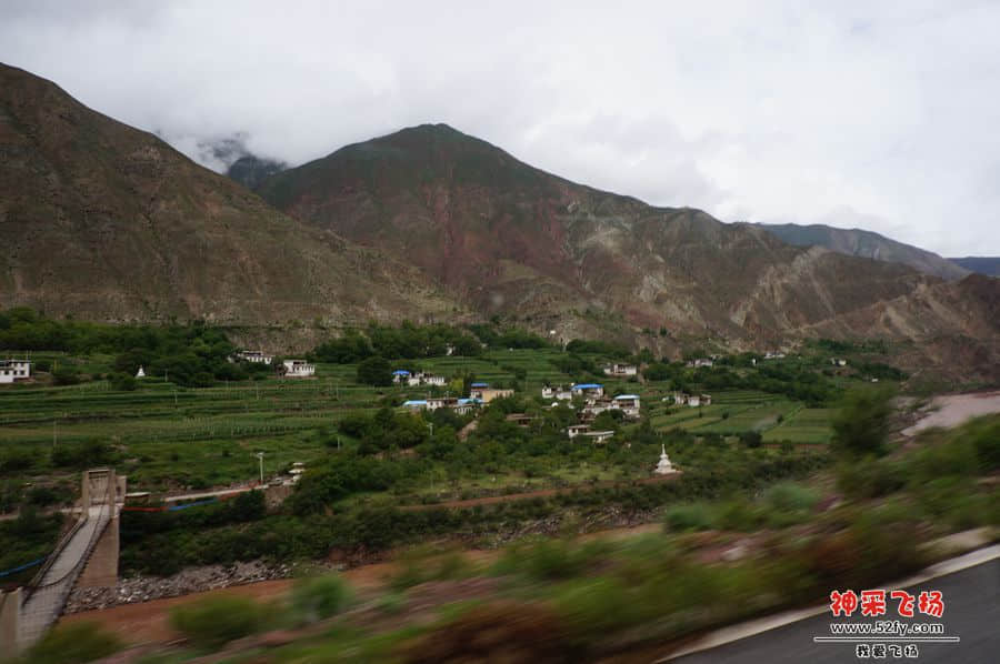 DSC02248_副本.jpg