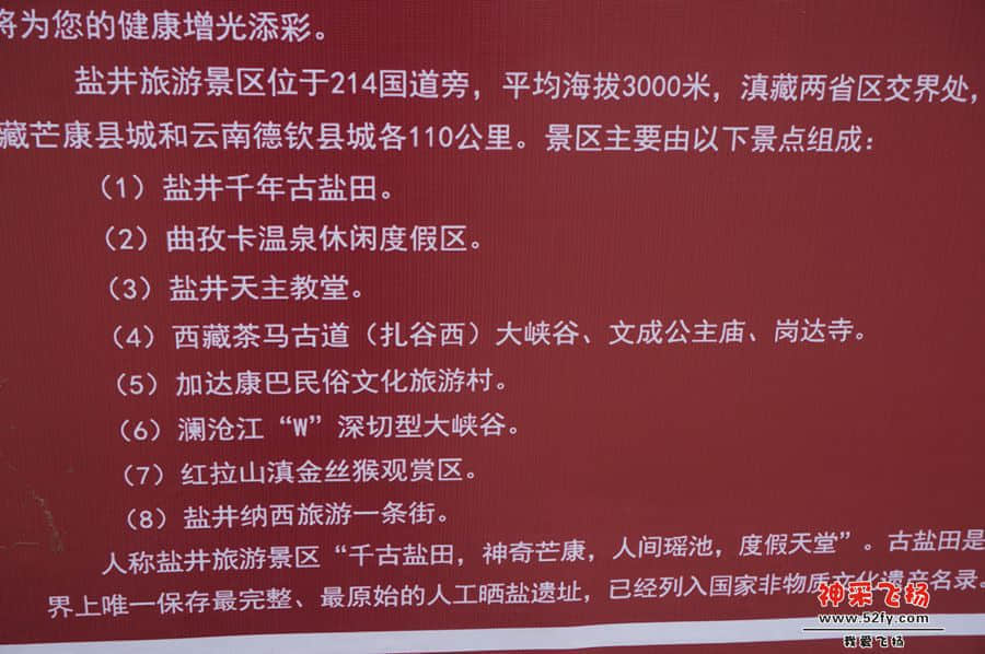 DSC02263_副本.jpg