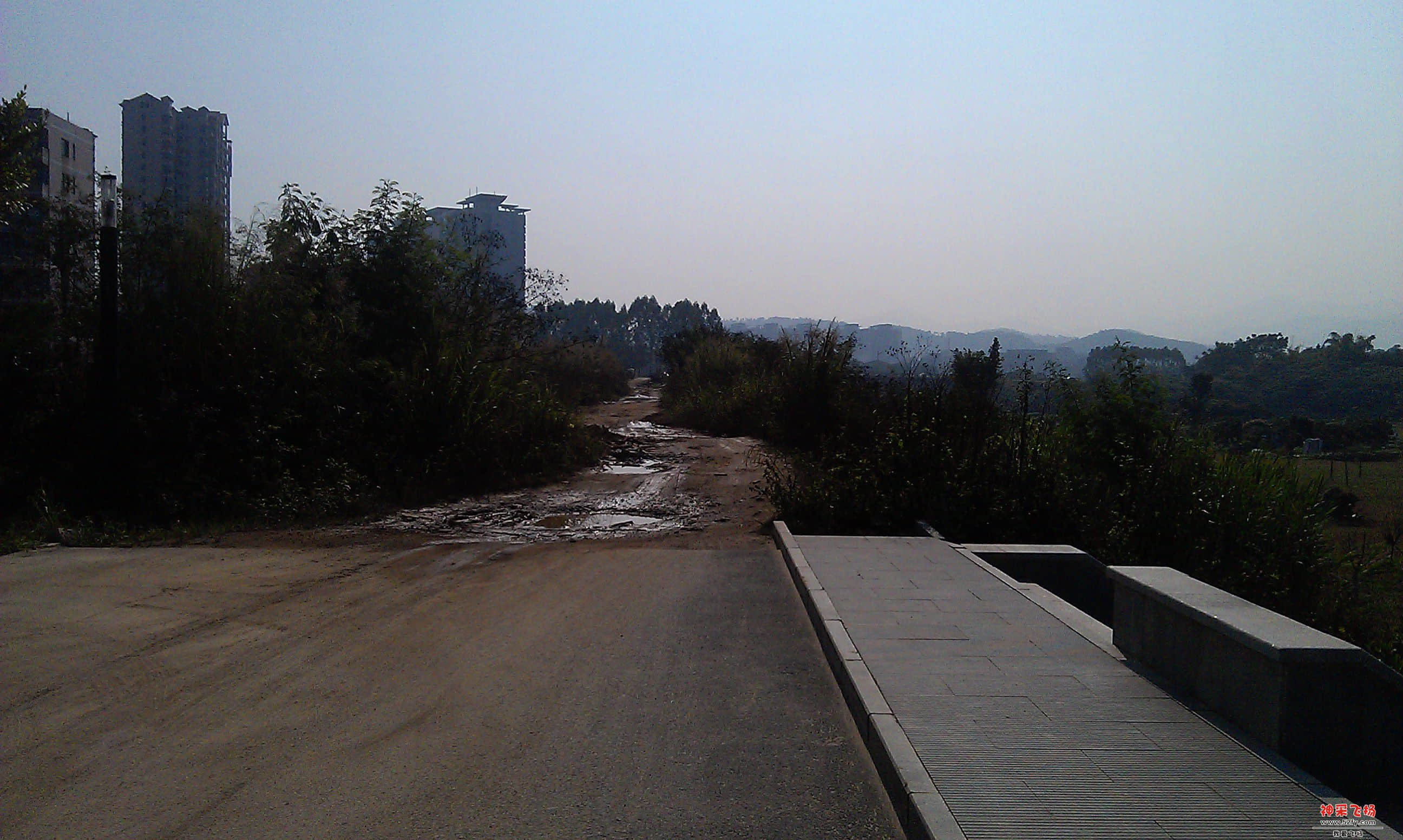 IMAG0055.jpg