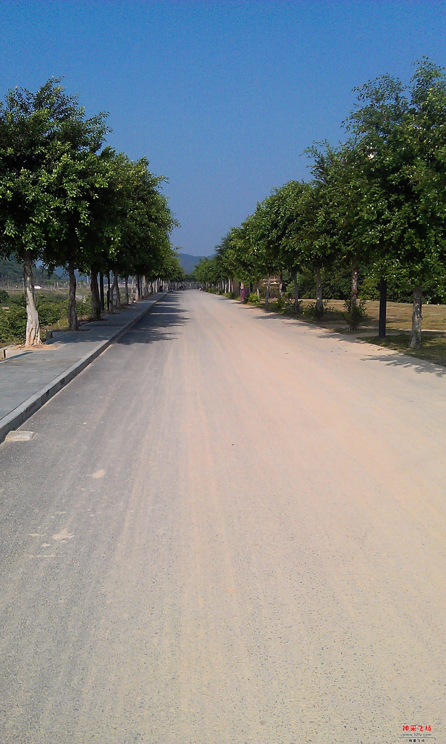 IMAG0056.jpg