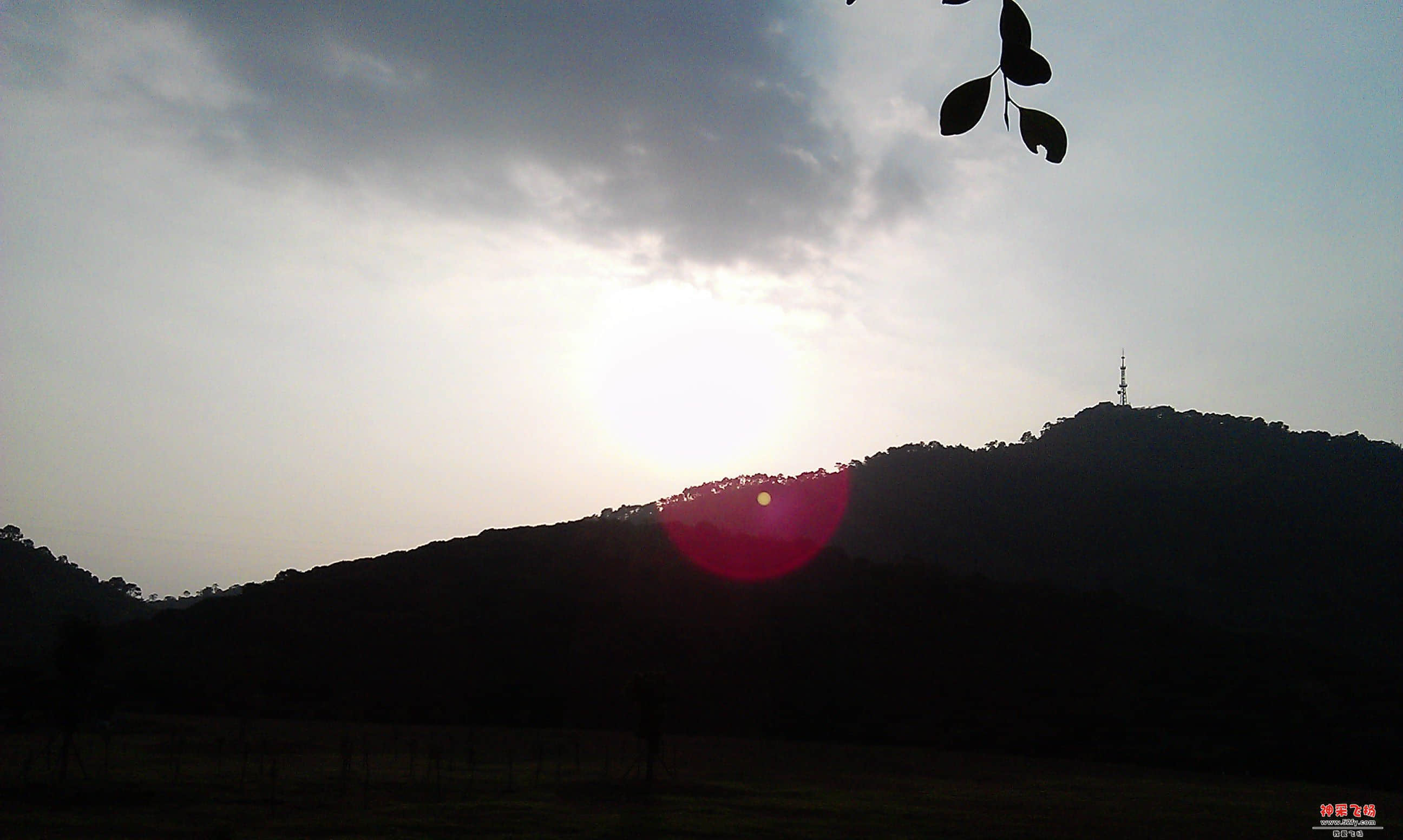 树叶和山.jpg
