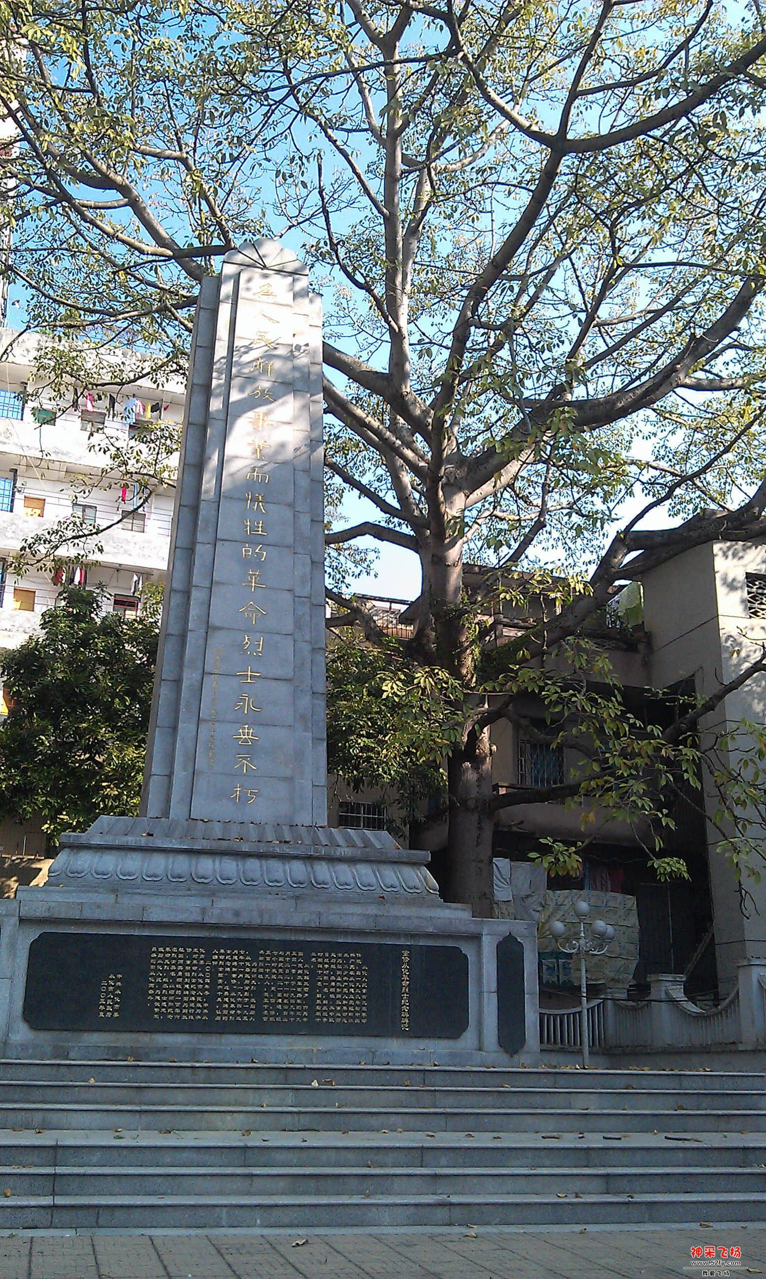 IMAG0021.jpg