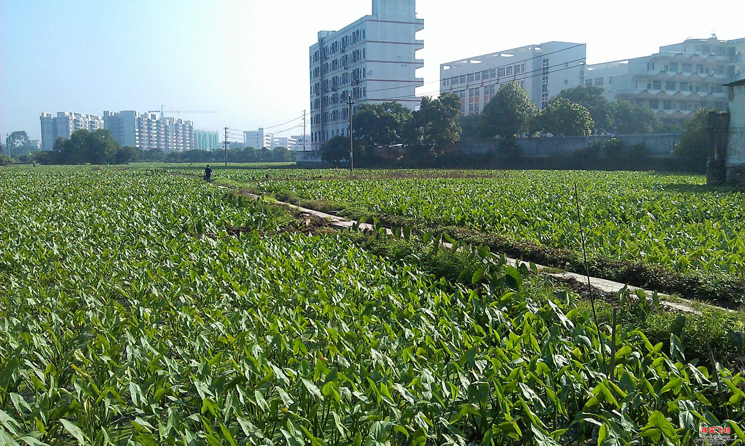 IMAG0029.jpg