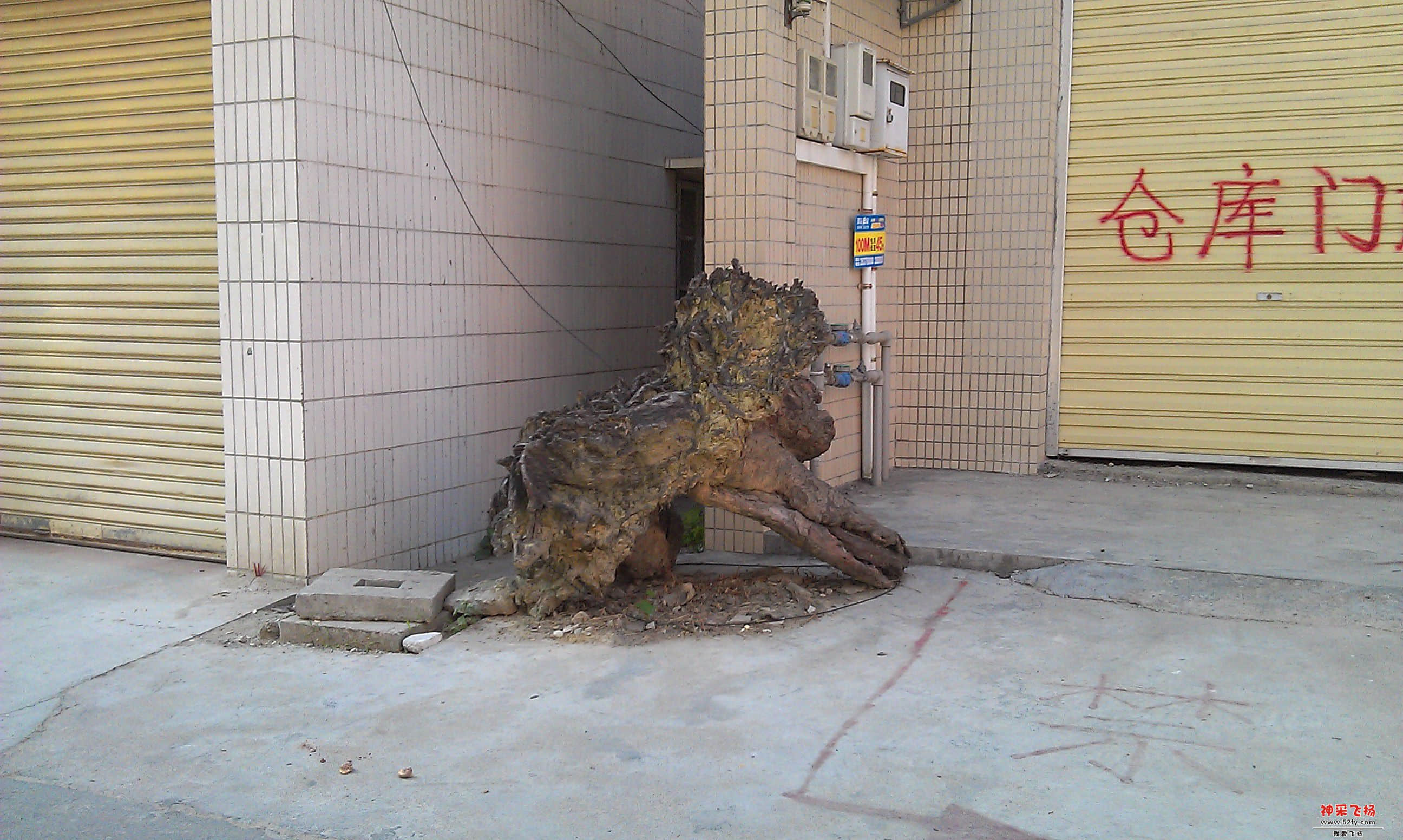 IMAG0037.jpg