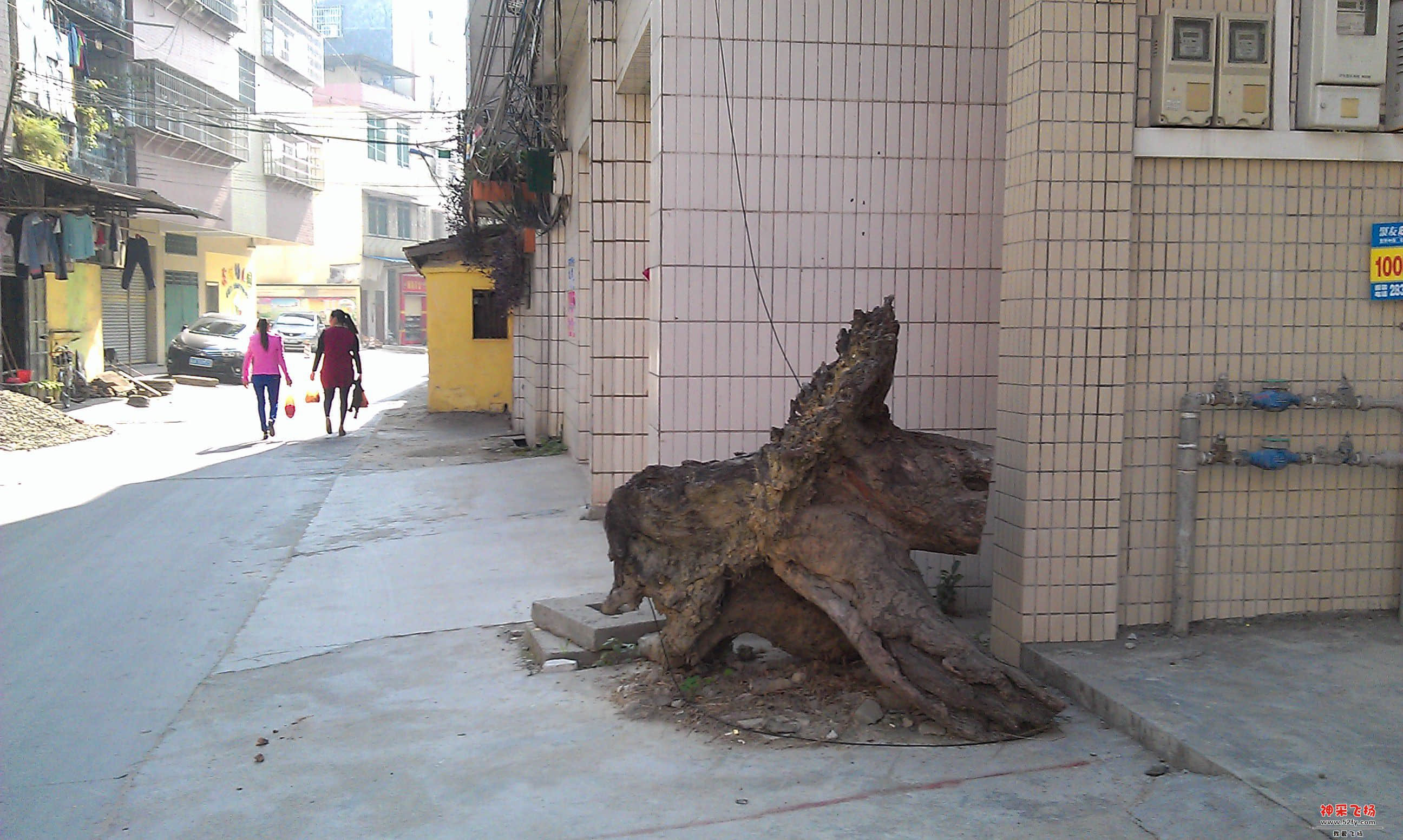 IMAG0038.jpg