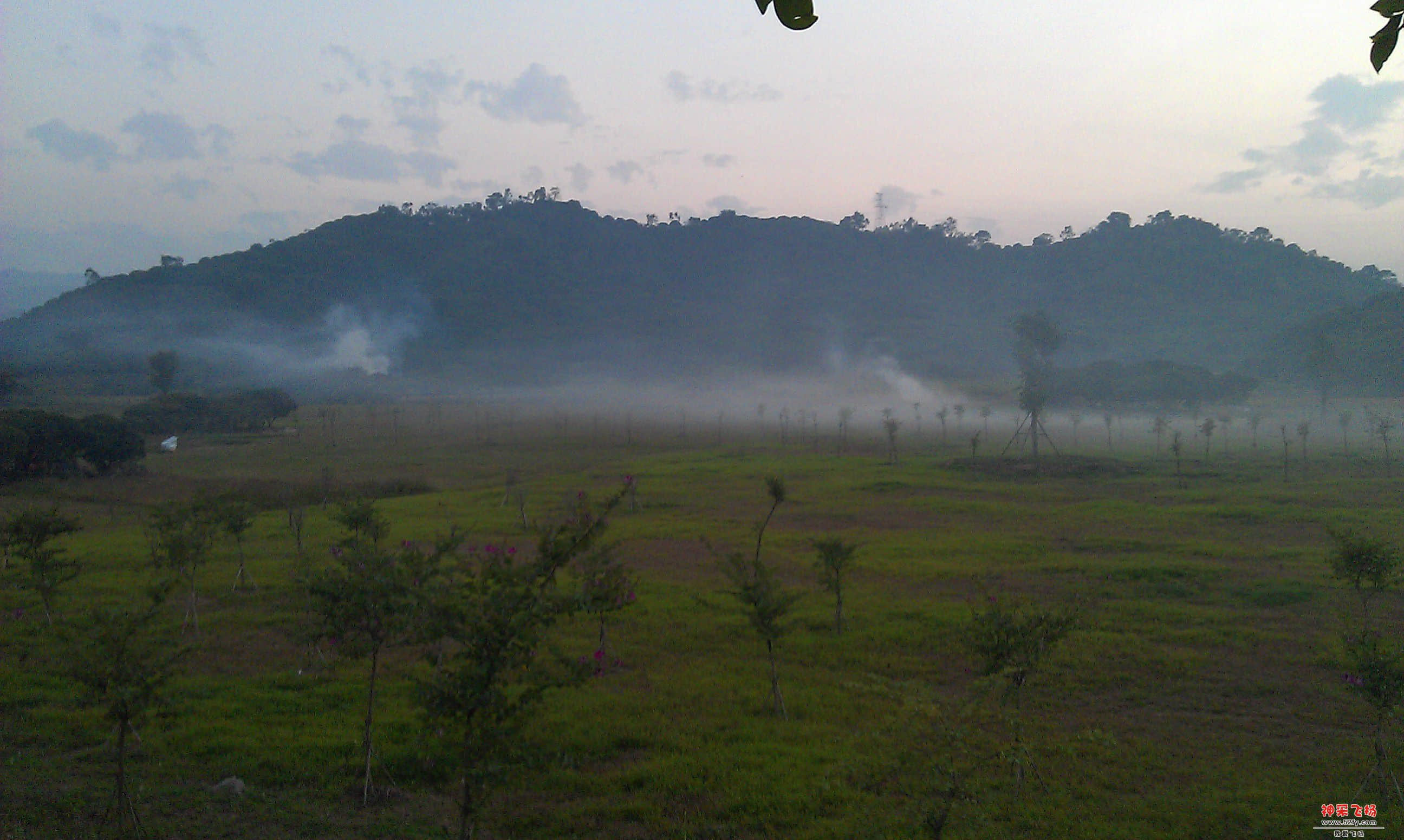IMAG0008.jpg