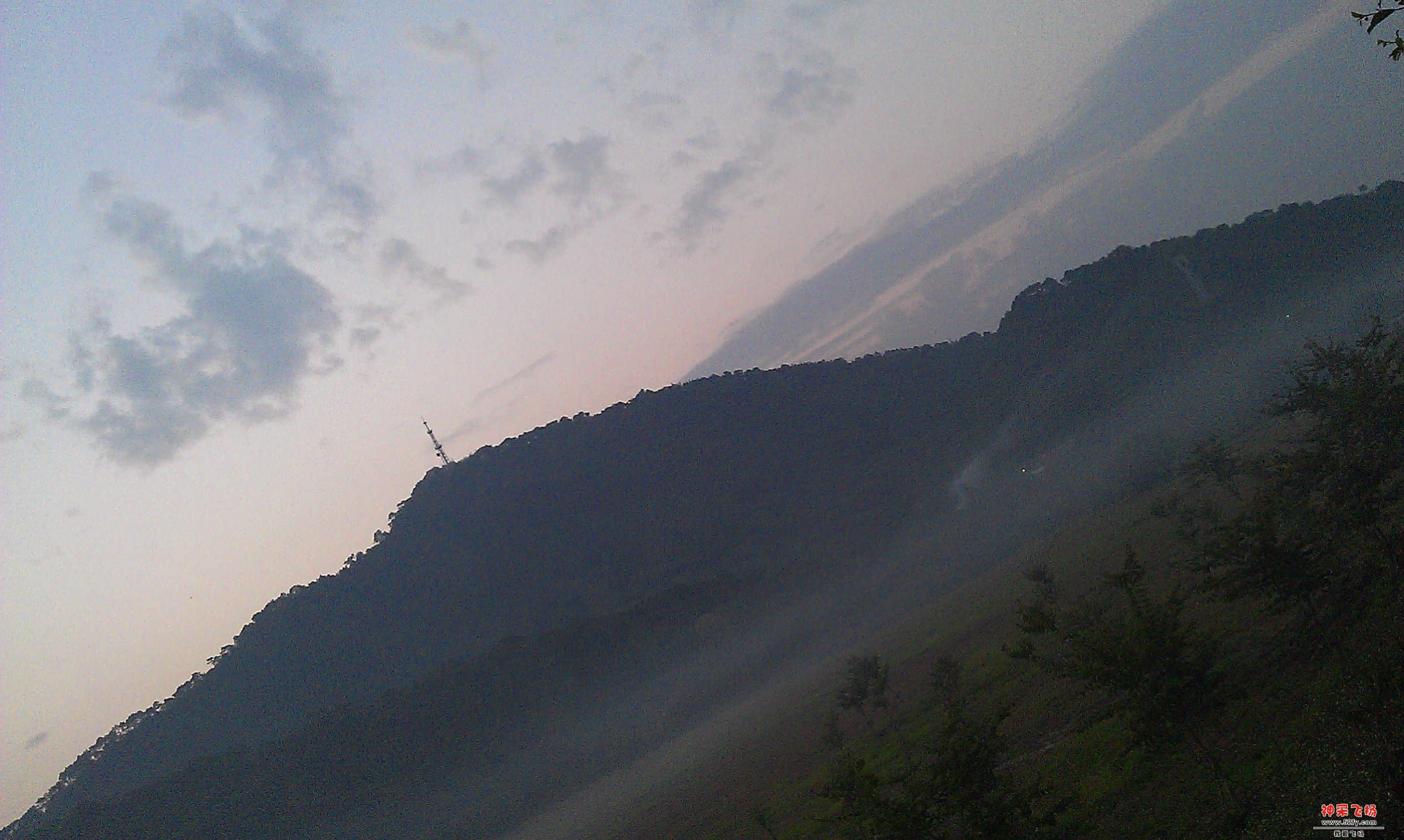 IMAG0010.jpg