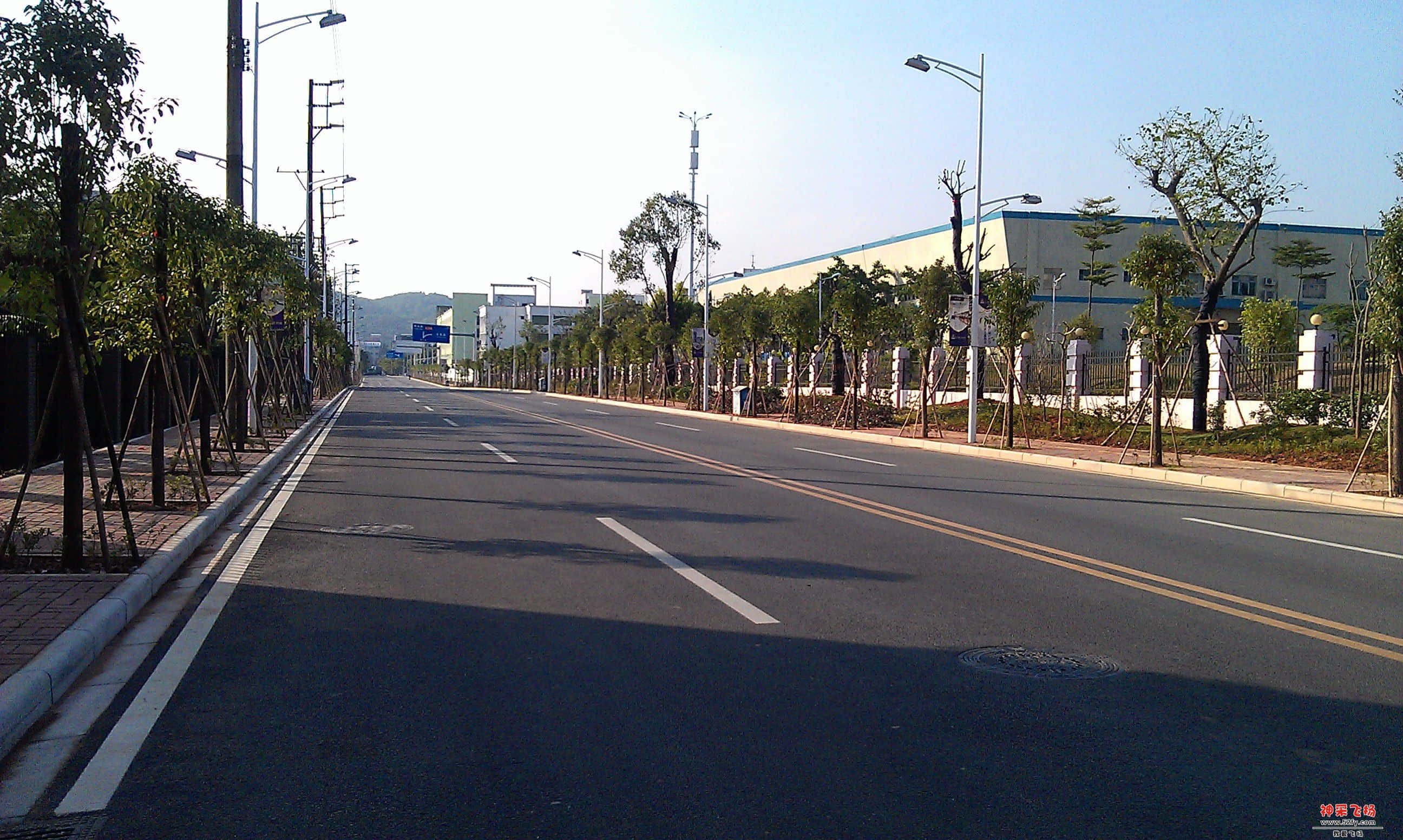 IMAG0017.jpg