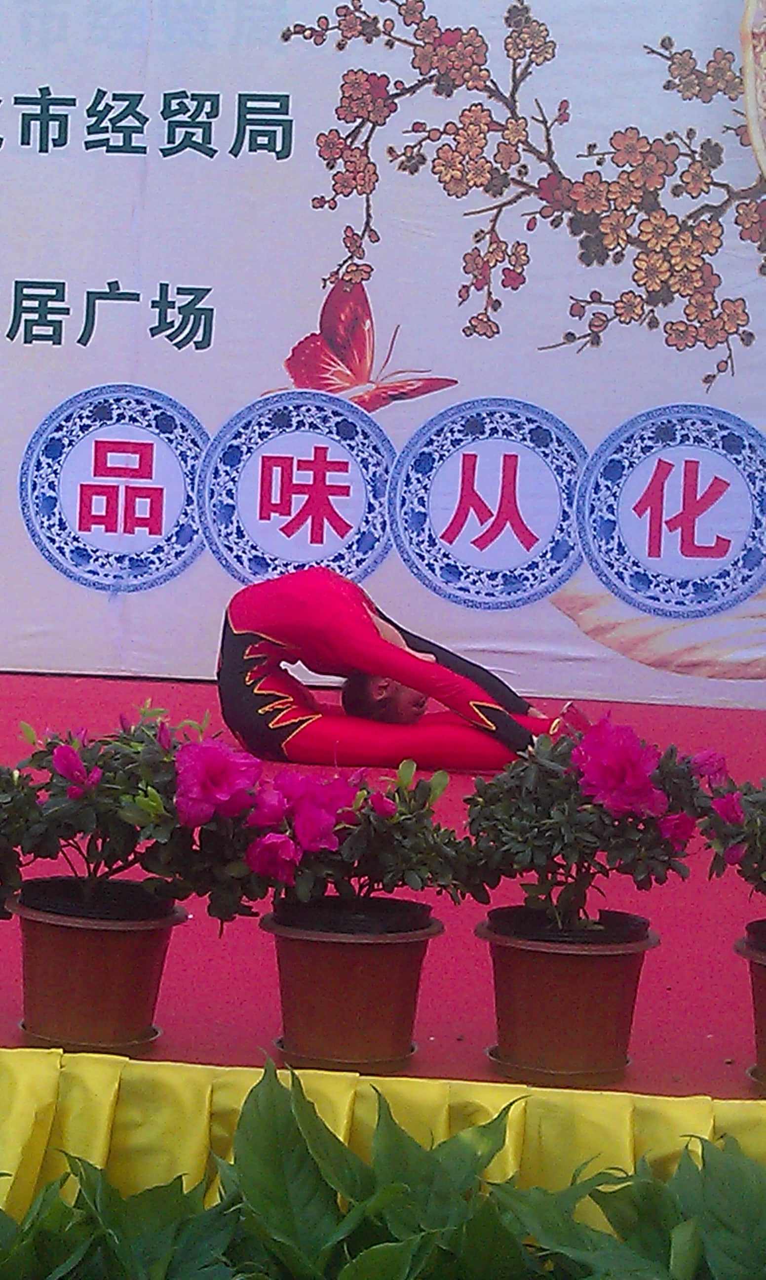杂技5.jpg