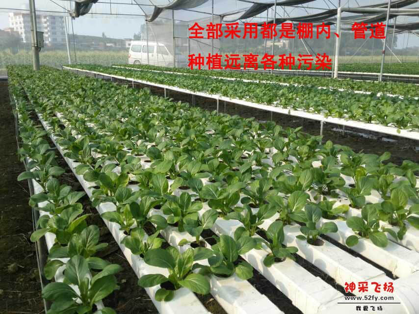 mmexport1417399841312副本.jpg