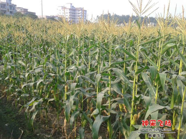 20141031_160332.jpg