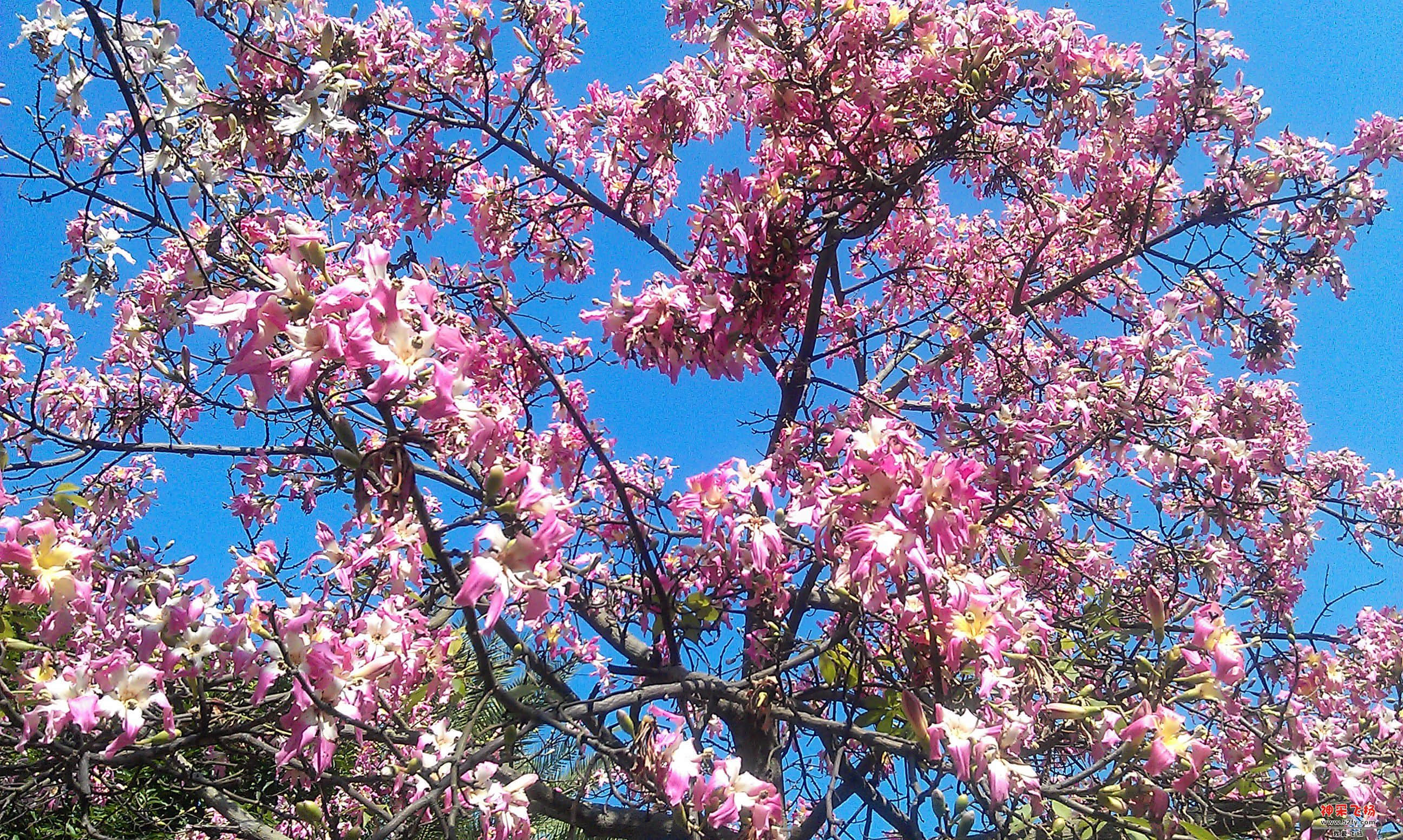 IMAG0017.jpg