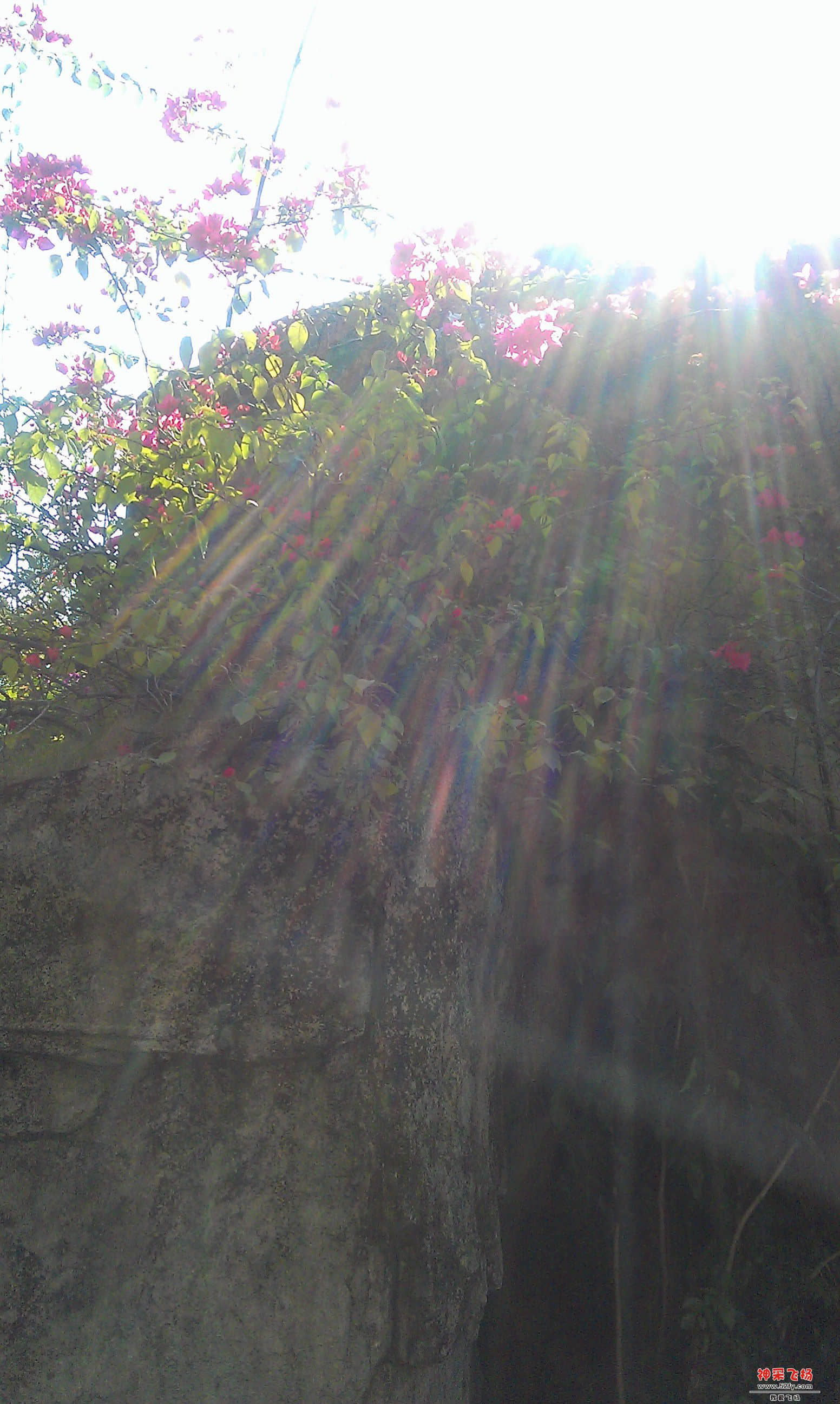 IMAG0019.jpg