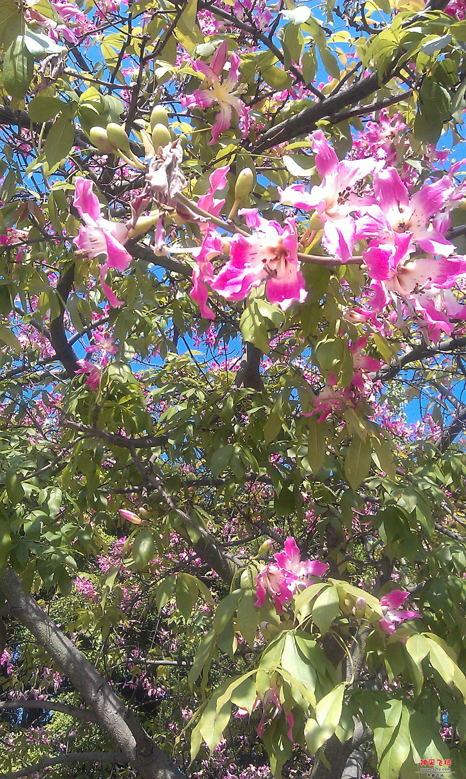 IMAG0042.jpg