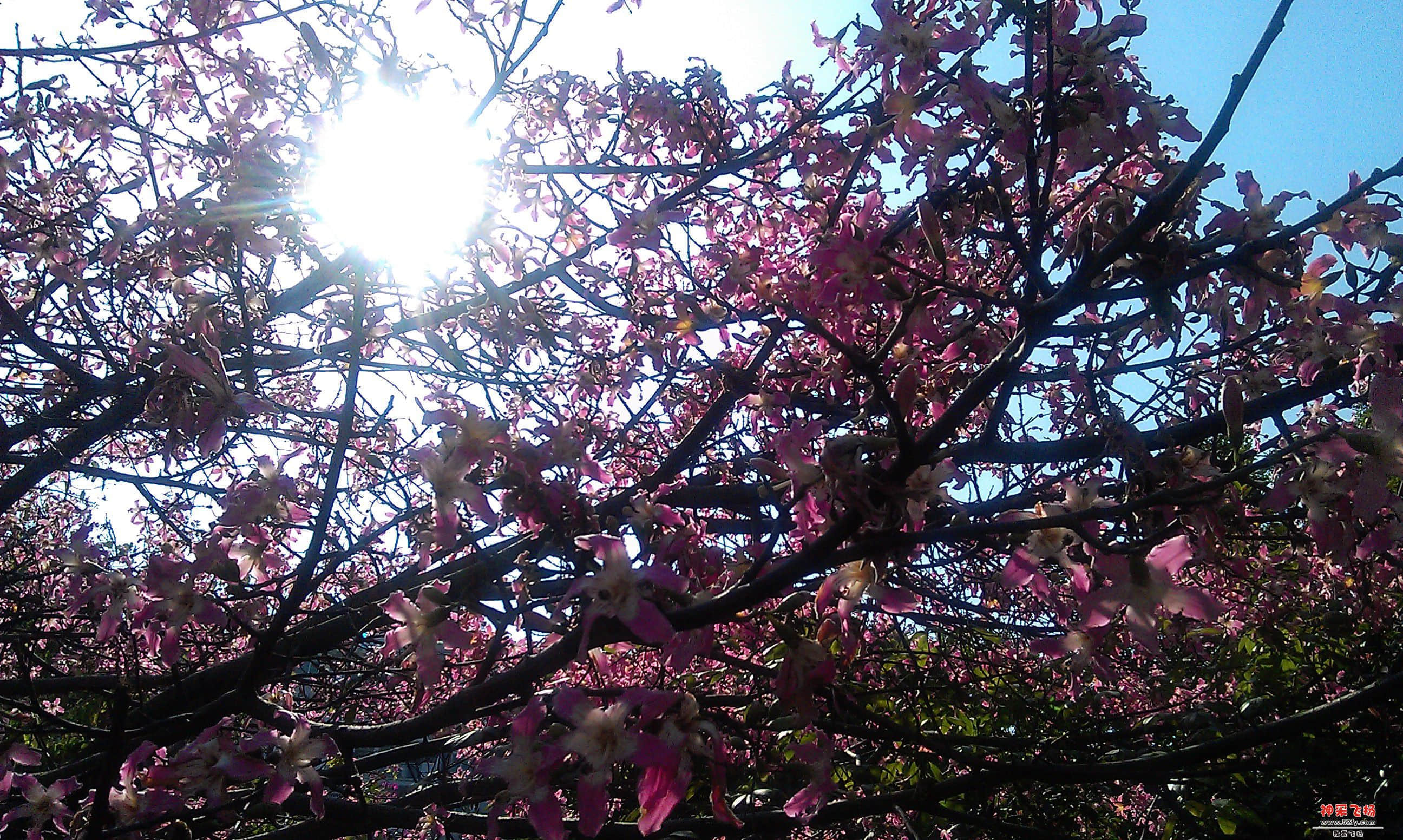 IMAG0043.jpg