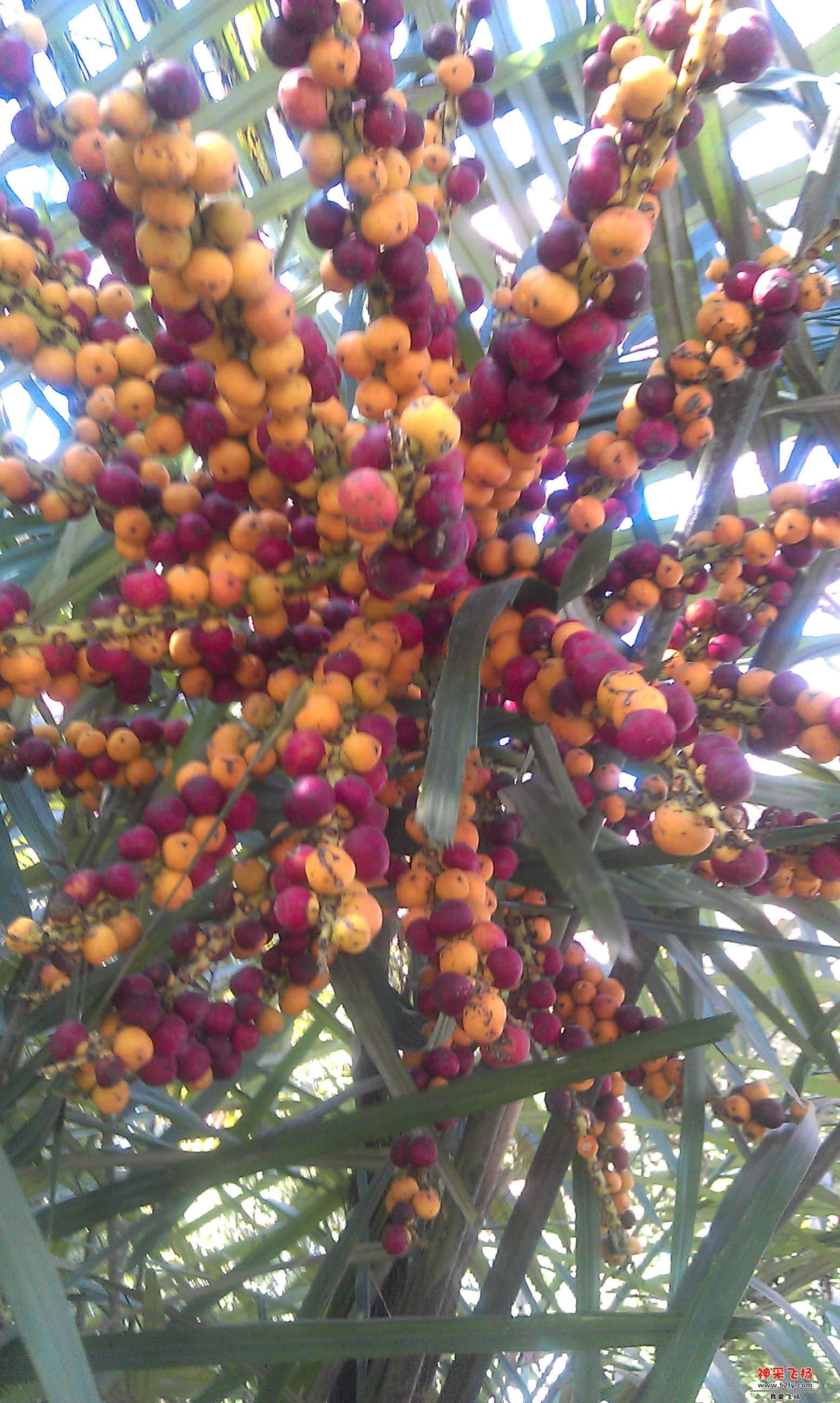 IMAG0045.jpg