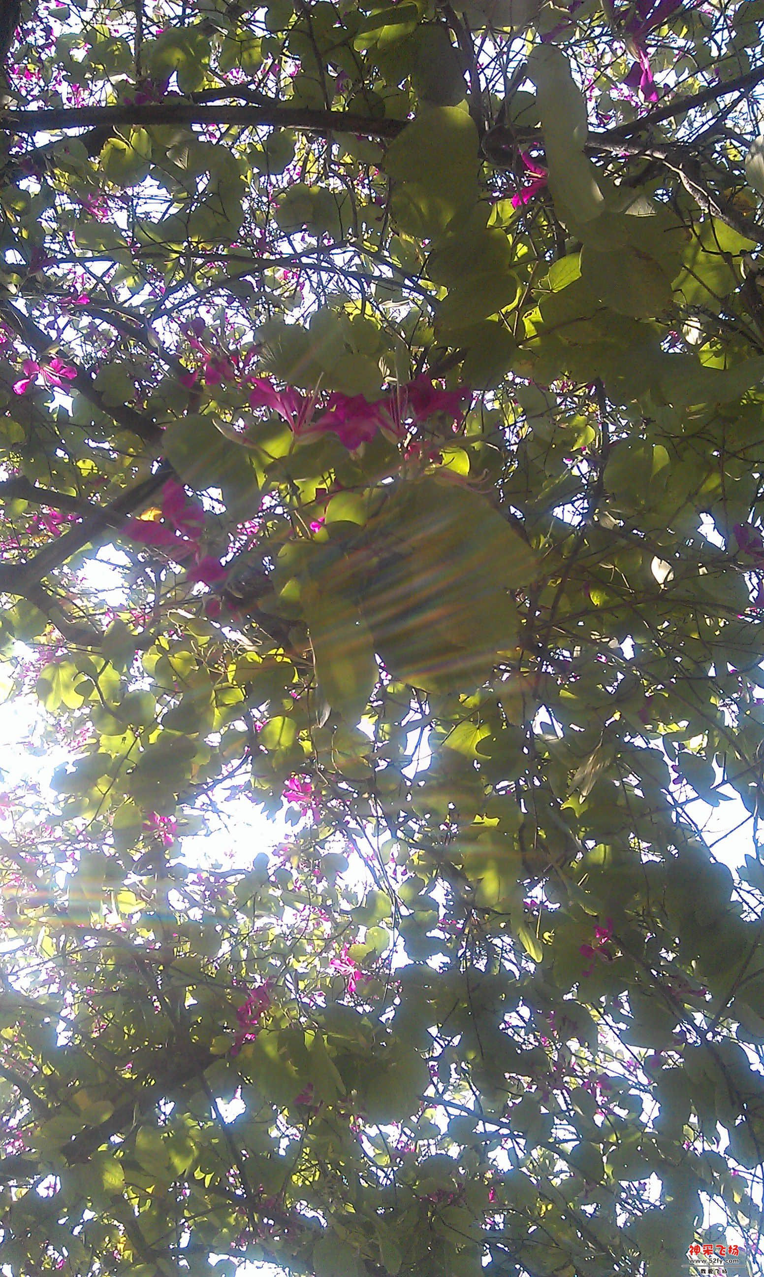 IMAG0003.jpg